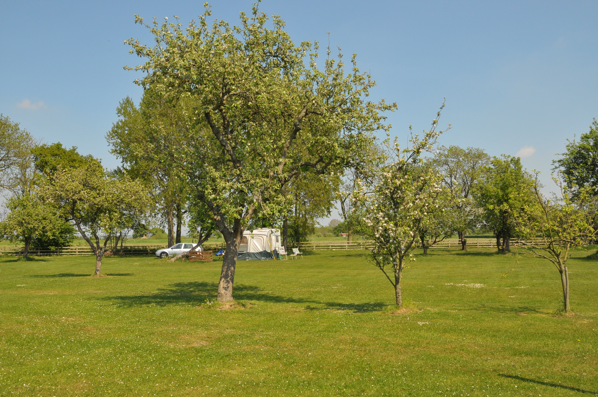 The orchard makes an idyllic setting for your holiday